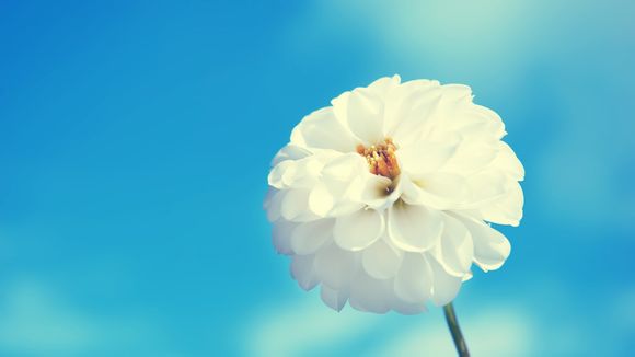 翡翠湖有什么好玩的