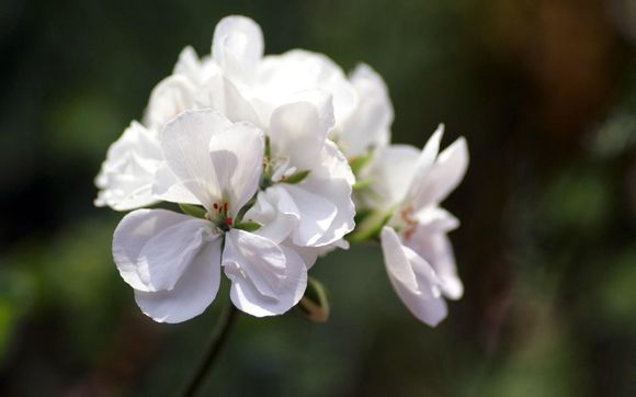 大连老虎滩海洋公园营业时间