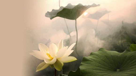 南京三日游俩人多少钱